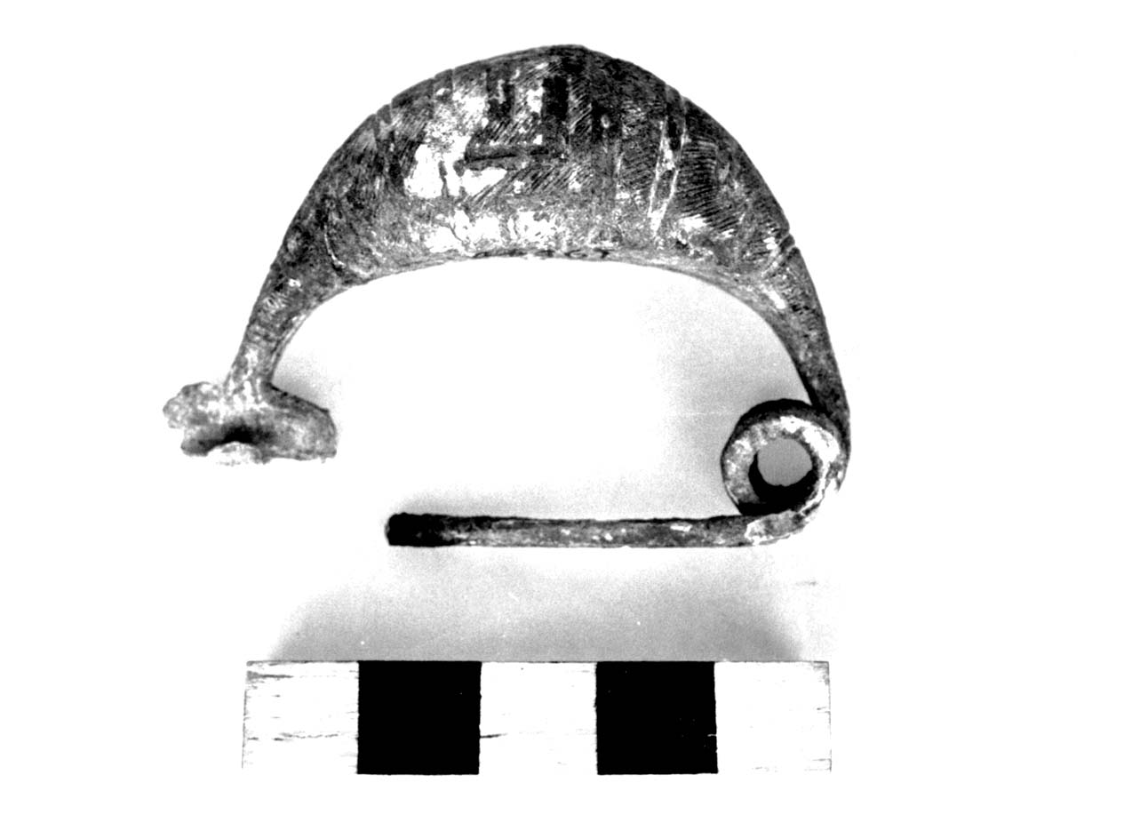 fibula a sanguisuga - civiltà villanoviana-fase II (seconda metà sec. VIII a.C)