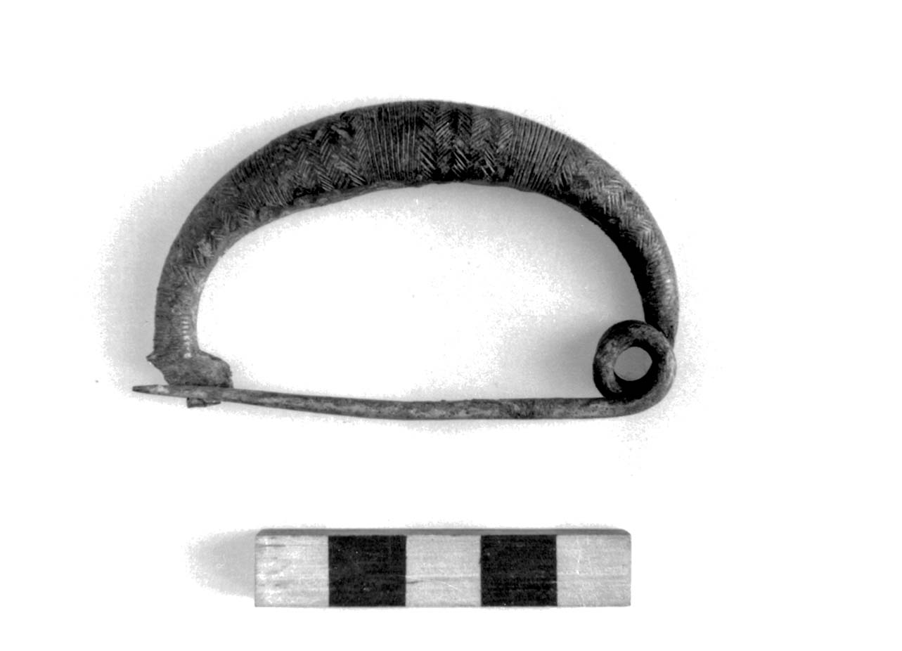 fibula ad arco ingrossato e ribassato - civiltà villanoviana-fase II (sec. VIII a.C)