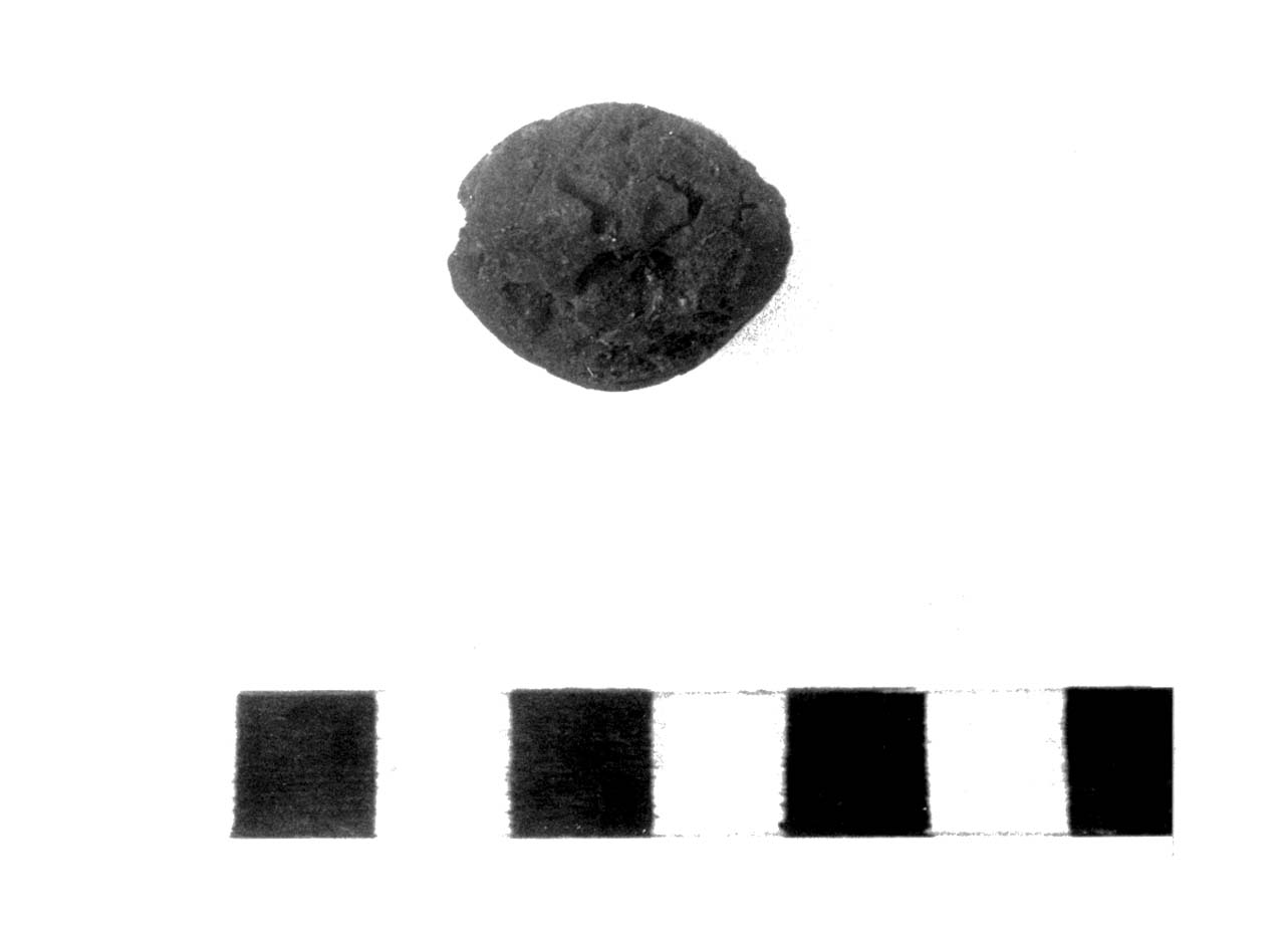 nucleo di ambra di fibula - civiltà villanoviana-fase II (seconda metà sec. VIII a.C)