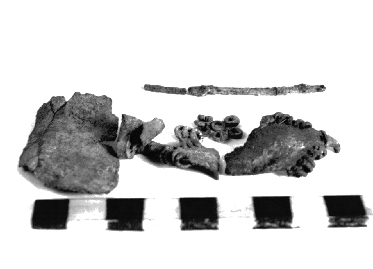 fibula ad arco foliato - civiltà villanoviana-fase II (sec. VIII a.C)