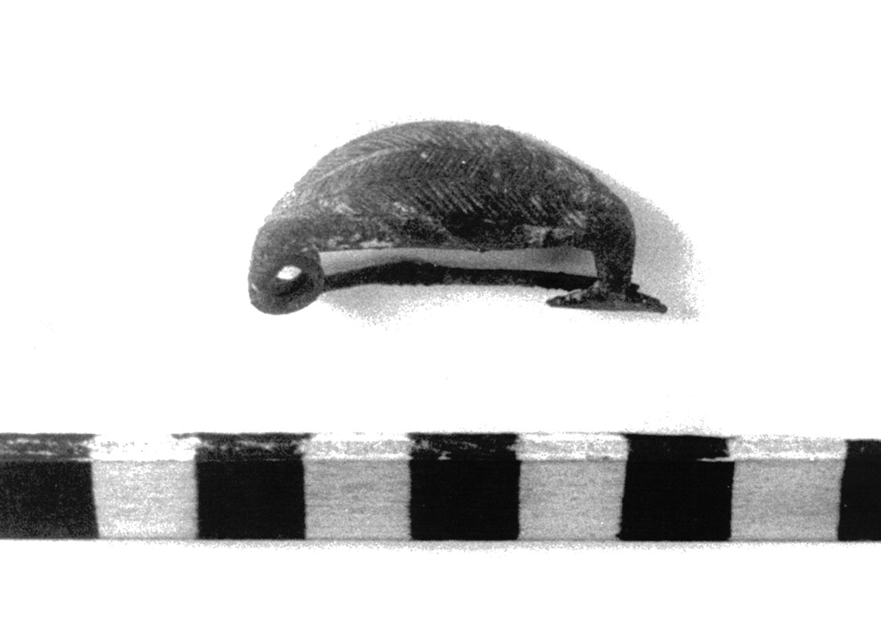 fibula ad arco ingrossato - civiltà villanoviana-fase II (sec. VIII a.C)
