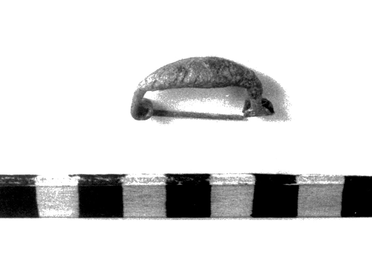 fibula ad arco ribassato - civiltà villanoviana-fase II (sec. VIII a.C)