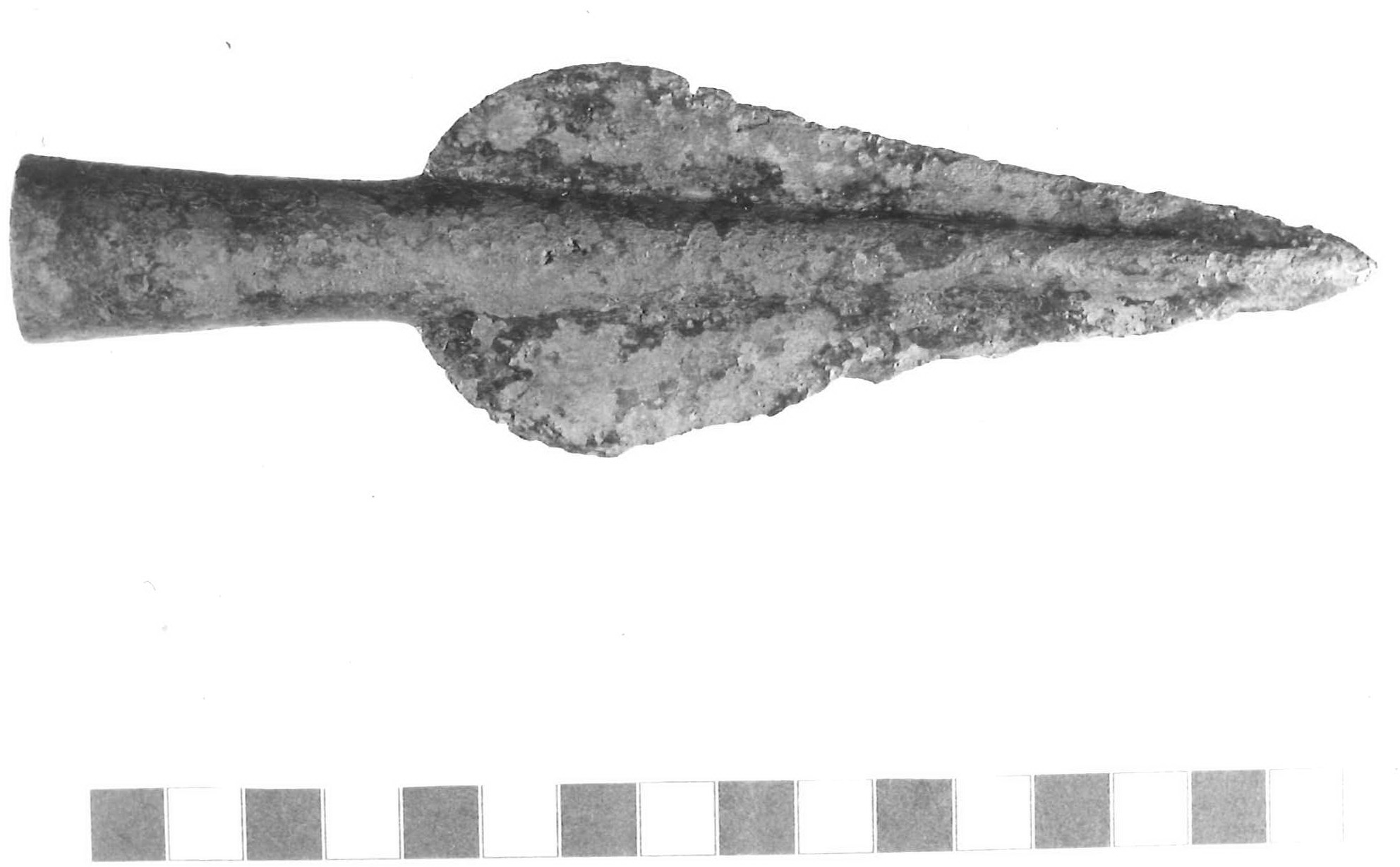 punta di lancia - Piceno III (sec. VII a.C)