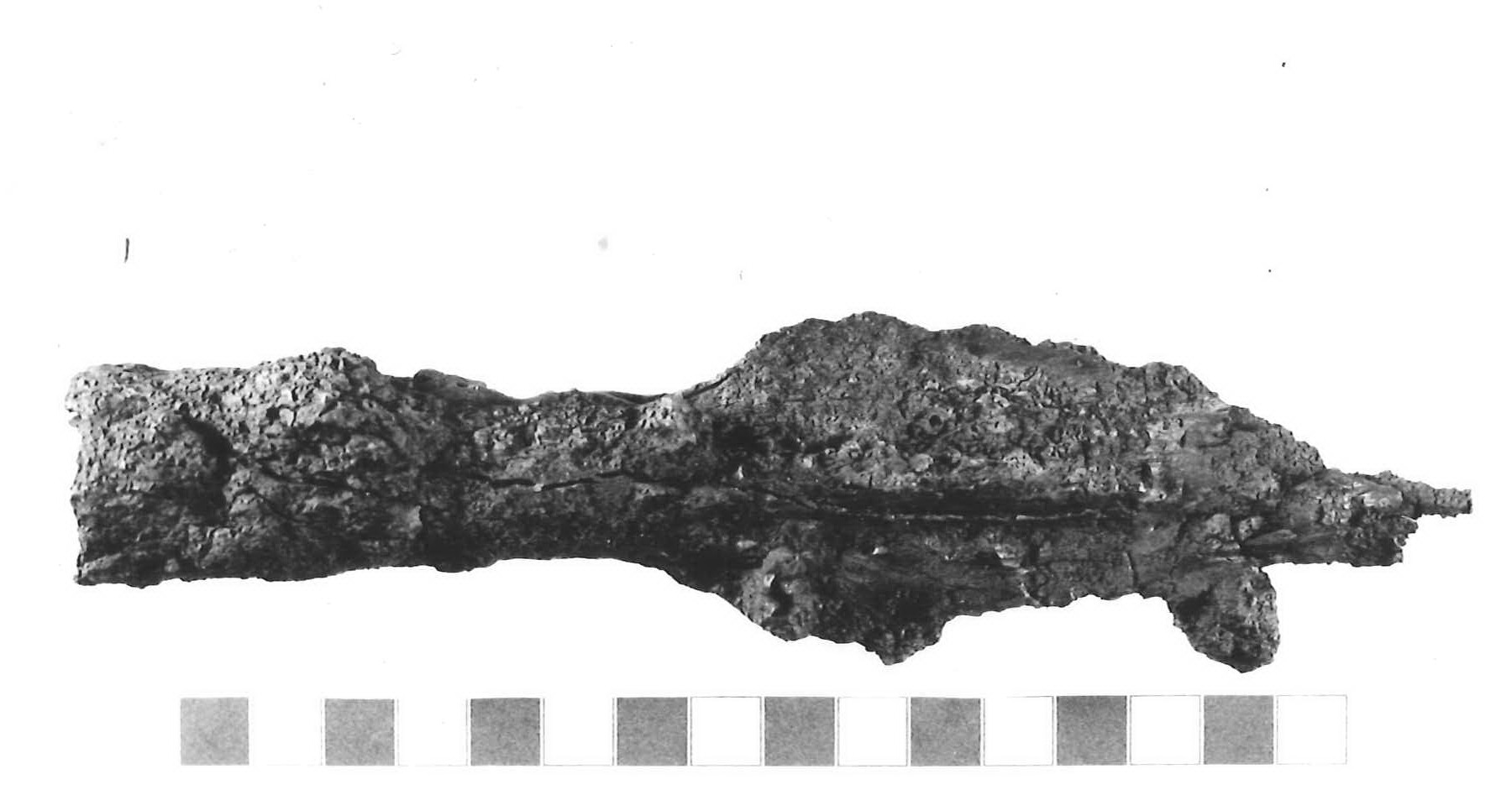 punta di lancia - Piceno III (sec. VII a.C)