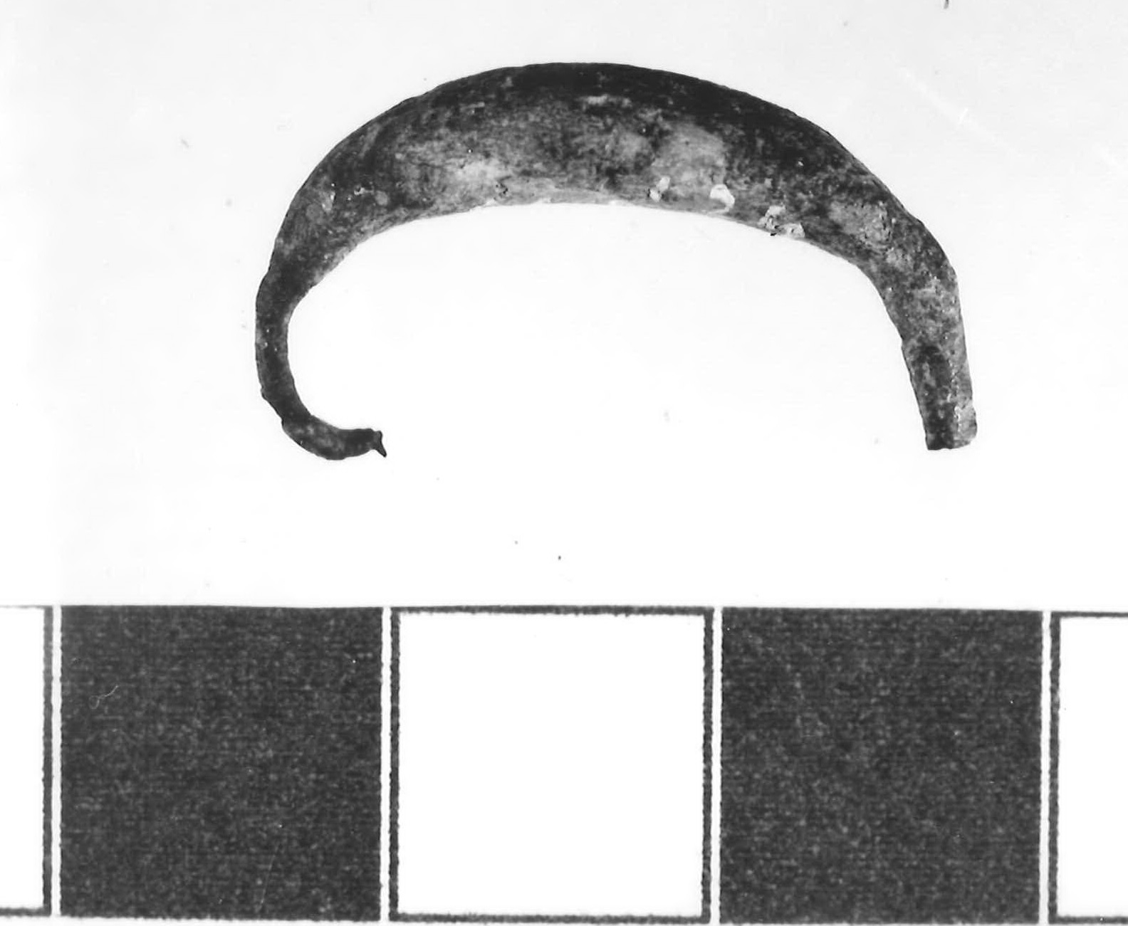 fibula ad arco ribassato - Piceno III (sec. VII a.C)