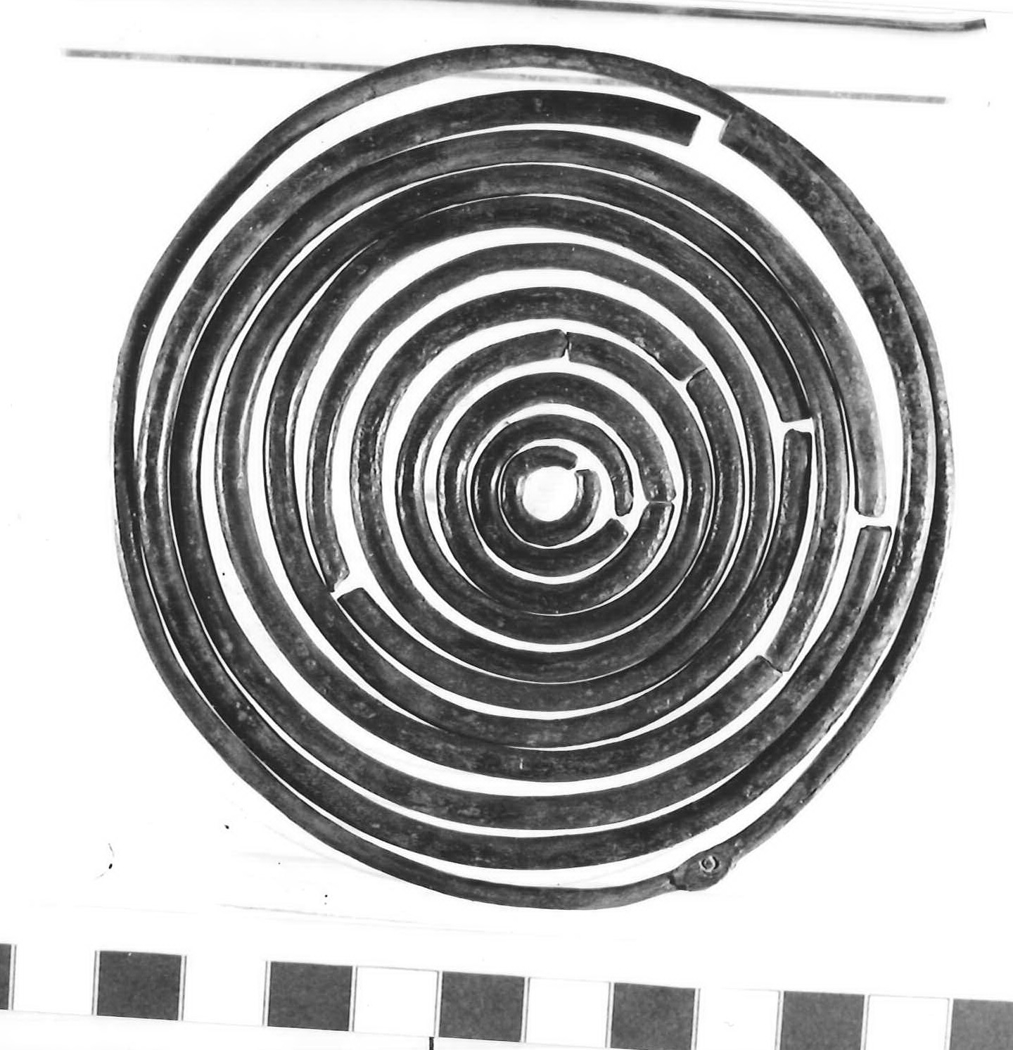 anello/ serie - Piceno III (secc. VII-VI a.C)