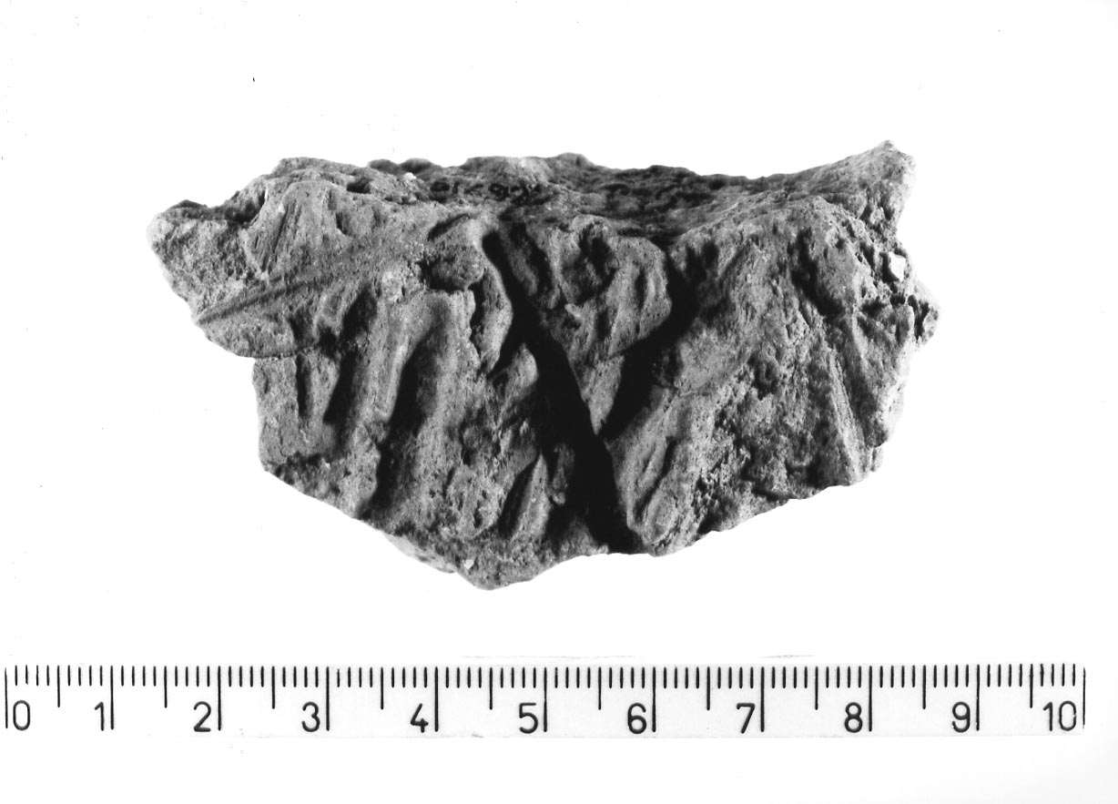 intonaco di capanna/ frammento (Neolitico finale)