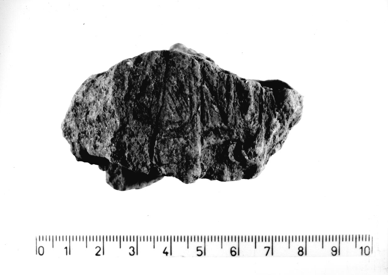 intonaco di capanna/ frammento (Neolitico finale)