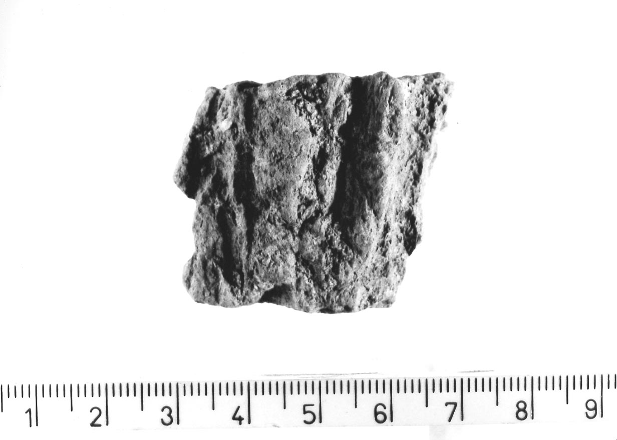 intonaco di capanna/ frammento (Neolitico finale)