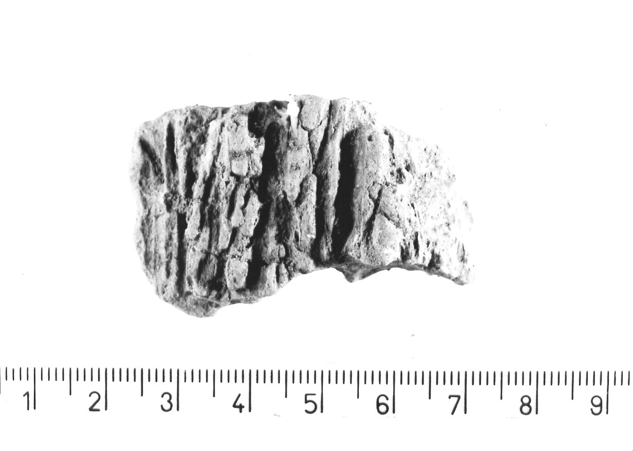 intonaco di capanna/ frammento (Neolitico finale)