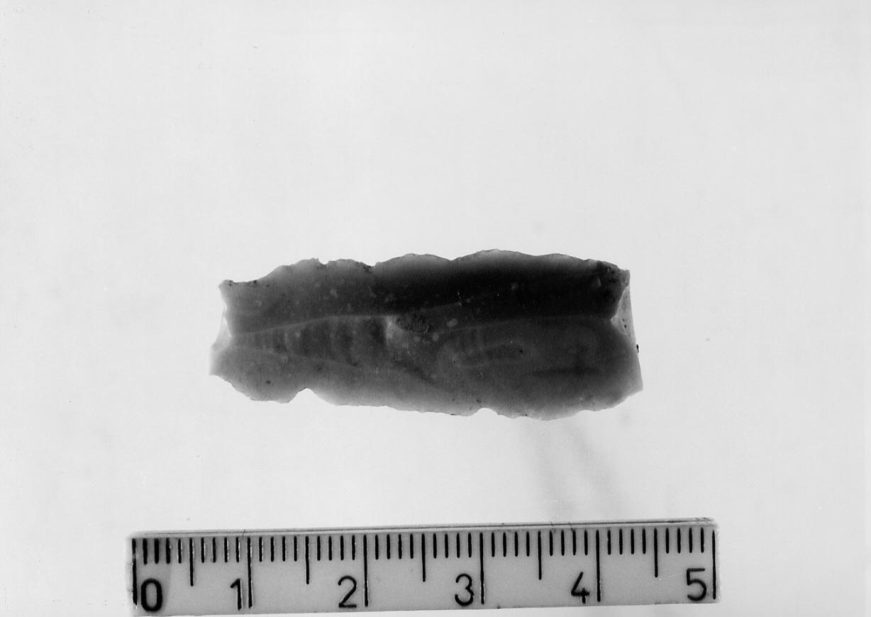 troncatura normale su lama-raschiatoio denticolato (Neolitico finale)