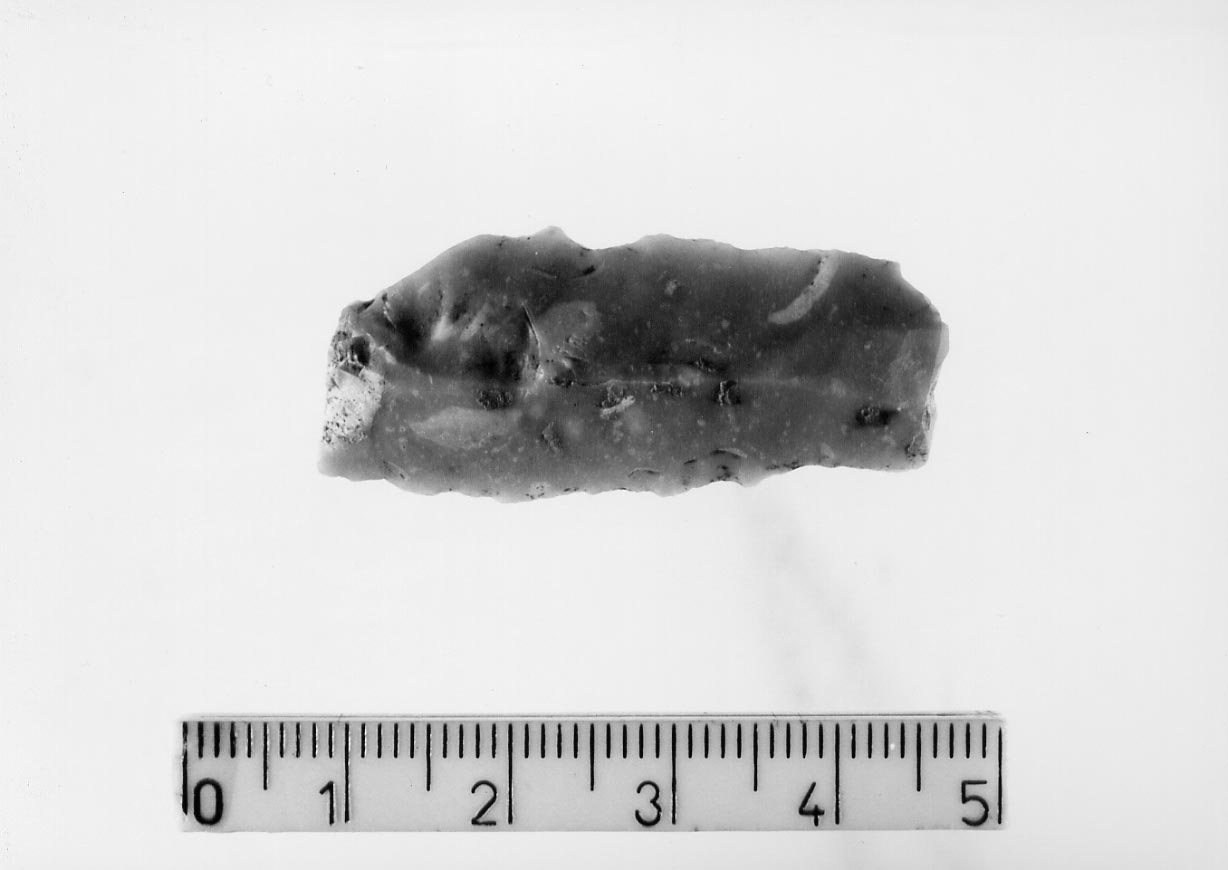 lama-raschiatoio denticolato/ frammento (Neolitico finale)