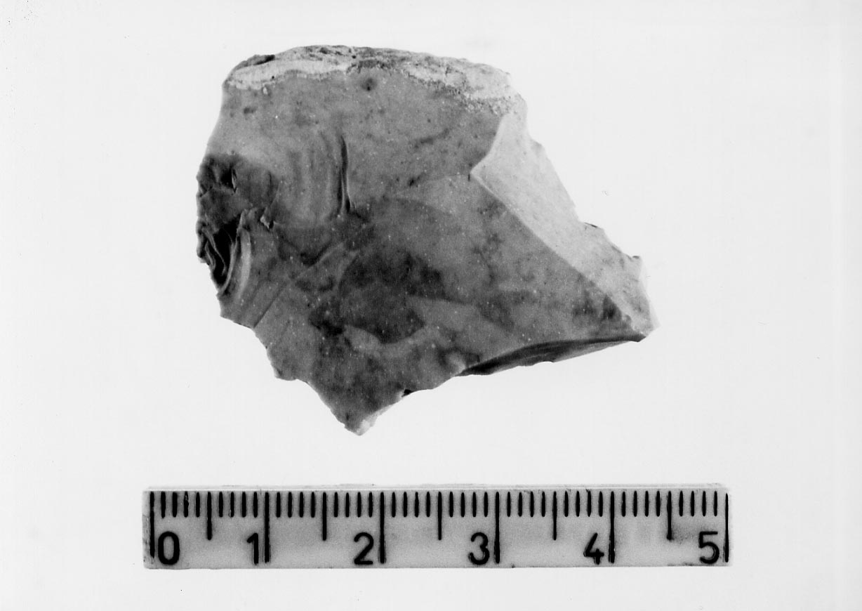 denticolato (Neolitico)