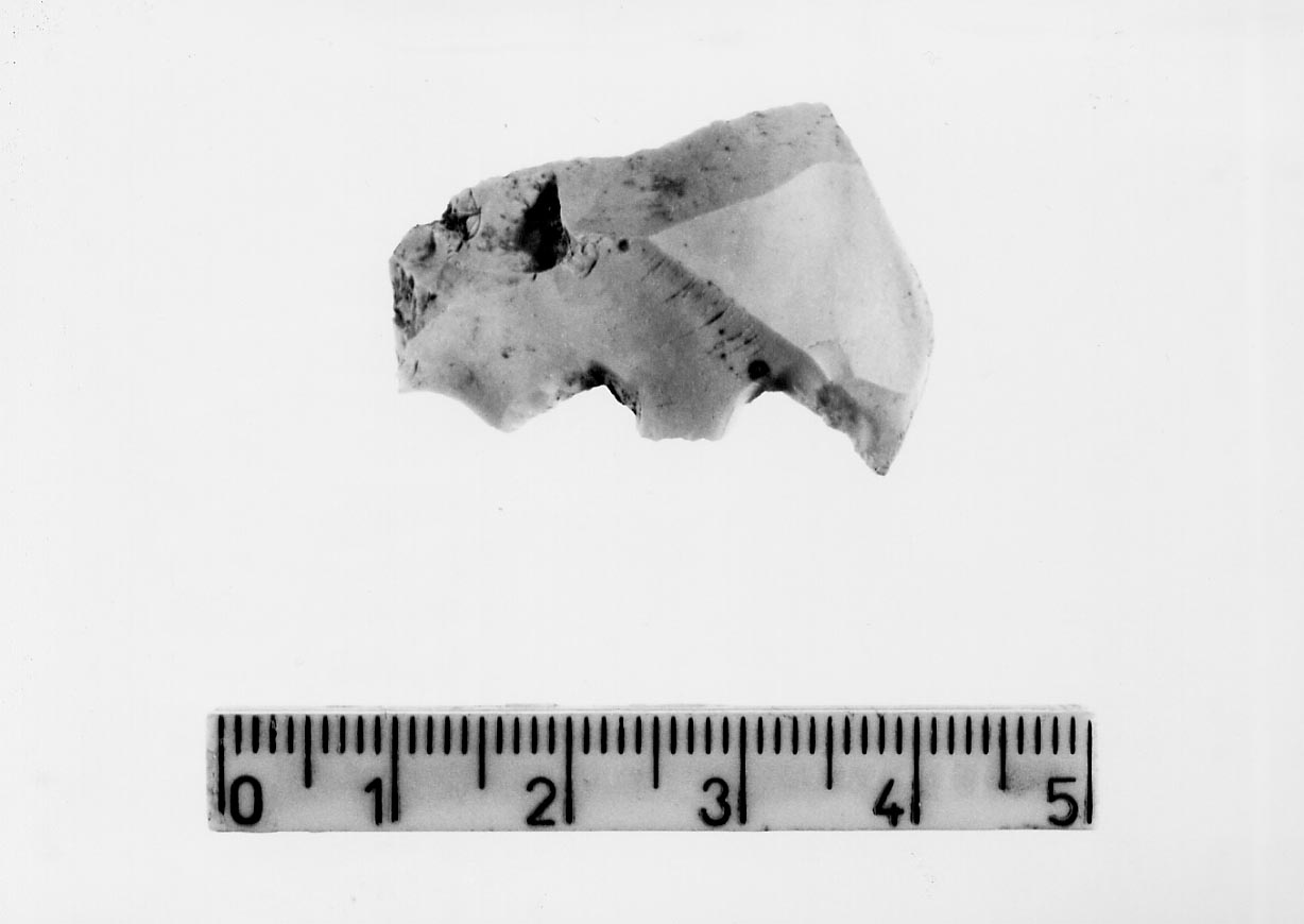 raschiatoio denticolato (Neolitico)