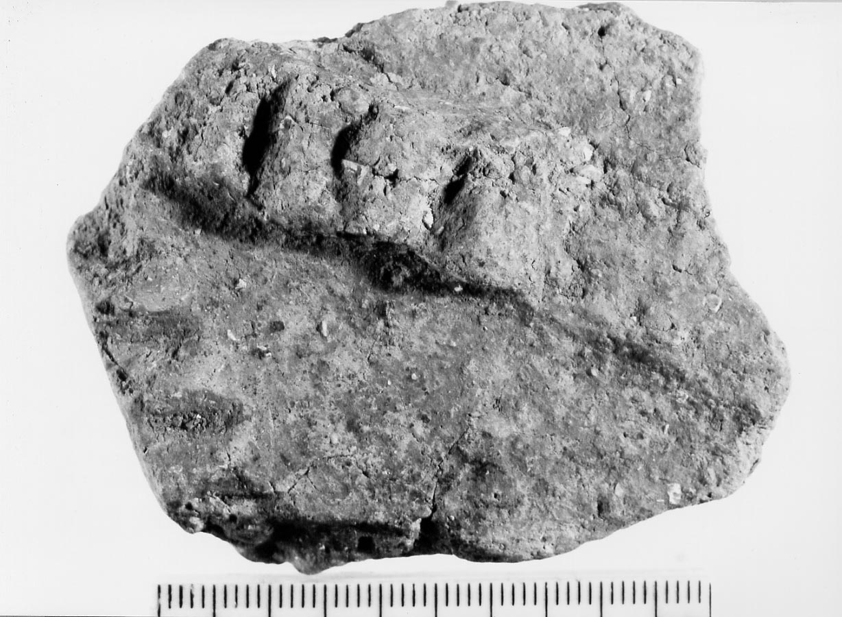 olla/ frammento (Neolitico)
