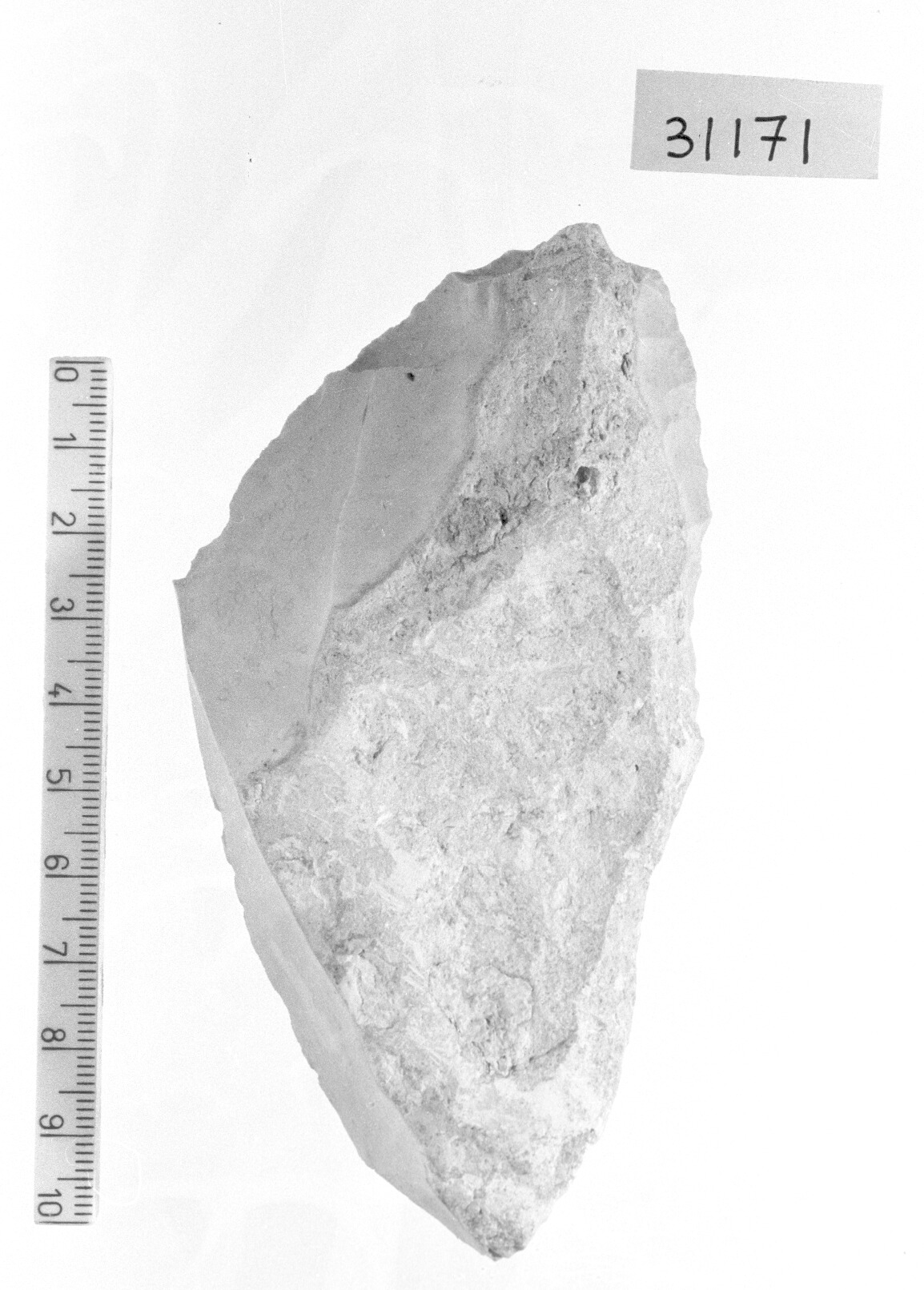 bulino doppio semplice ad uno stacco - Gravettiano (Paleolitico superiore)