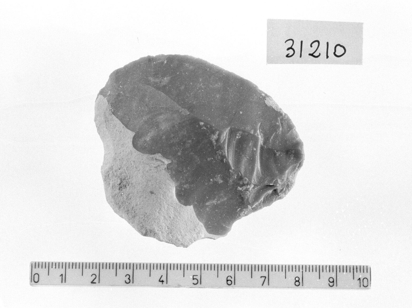 grattatoio a muso ogivale - Gravettiano (Paleolitico superiore)