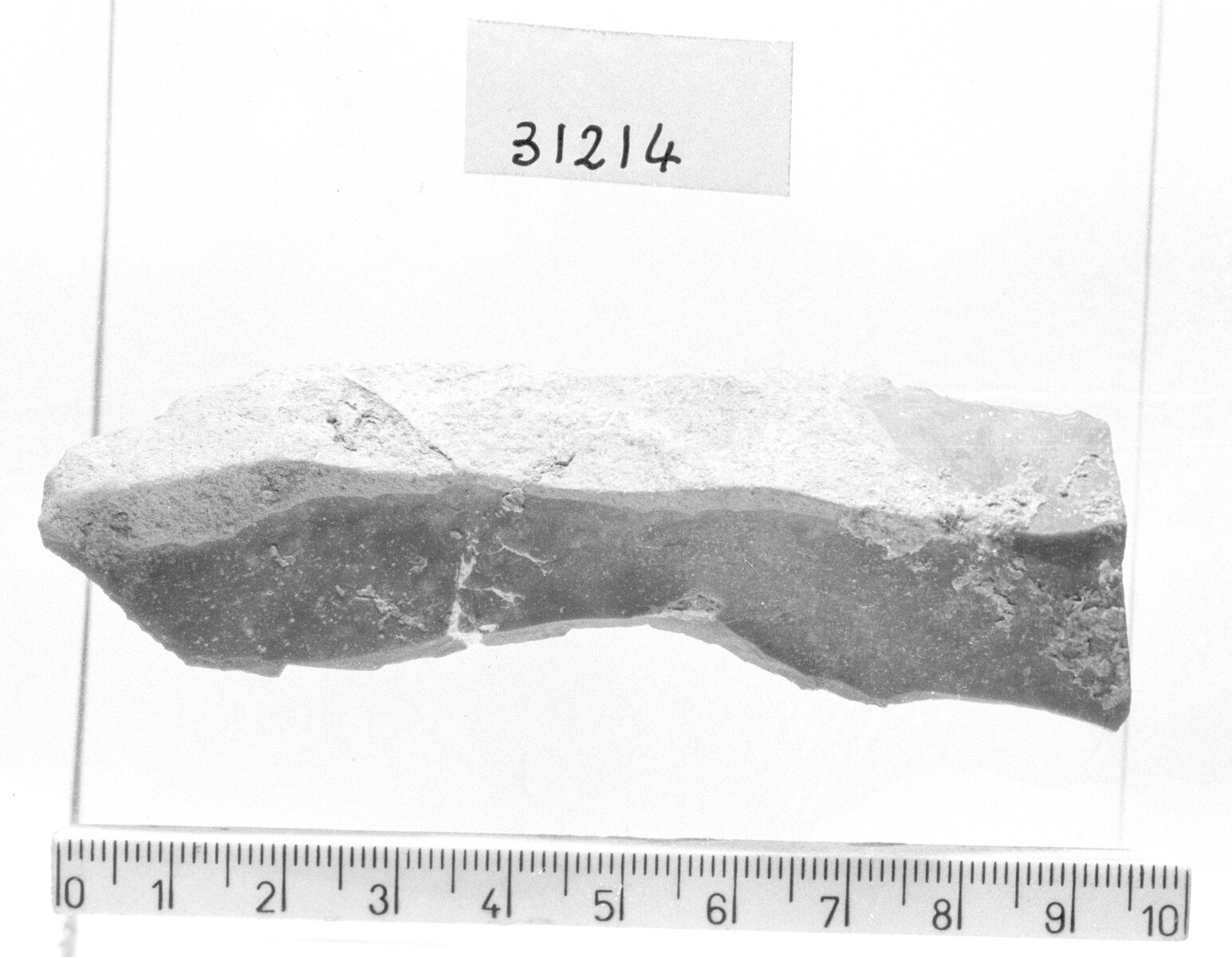troncatura obliqua rettilinea T 3 - Gravettiano (Paleolitico superiore)