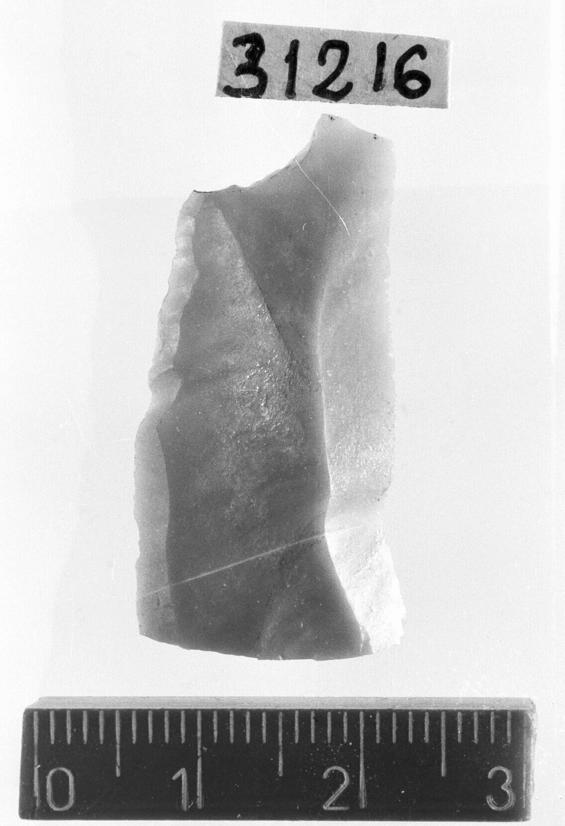 troncatura obliqua convessa T 3/ frammento - Gravettiano (Paleolitico superiore)