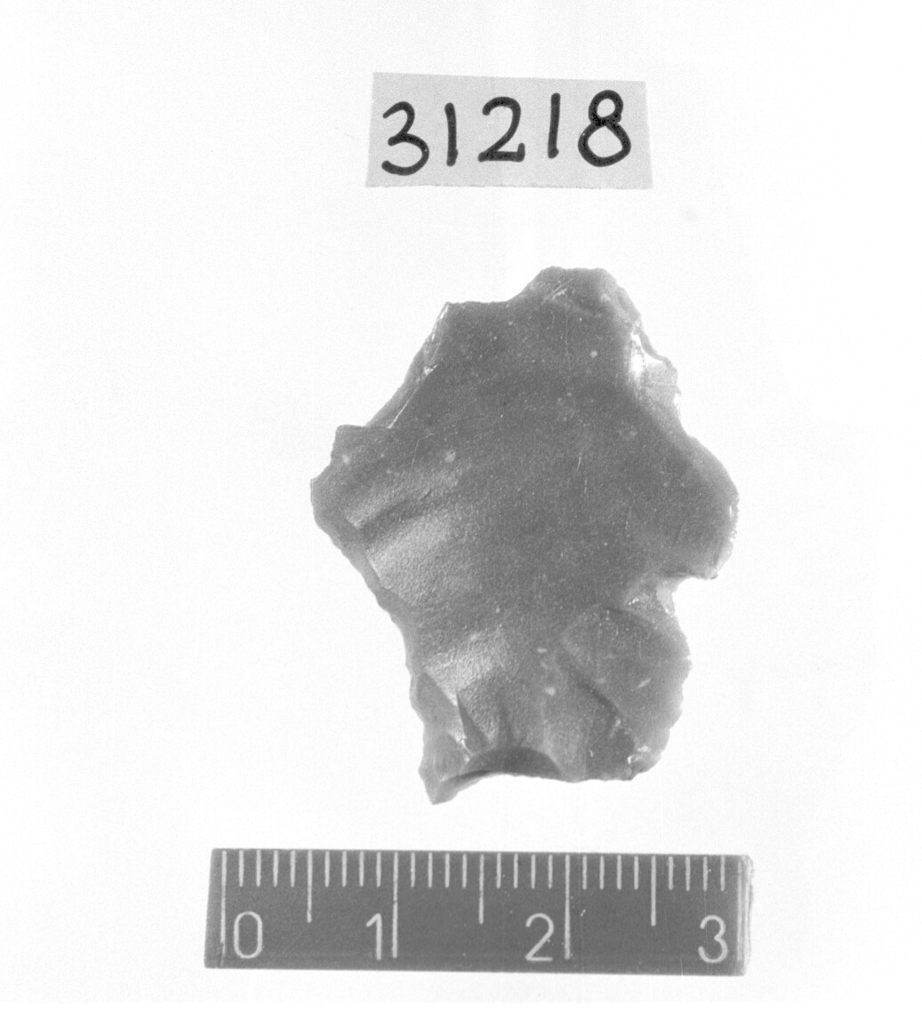 becco troncatura - Gravettiano (Paleolitico superiore)