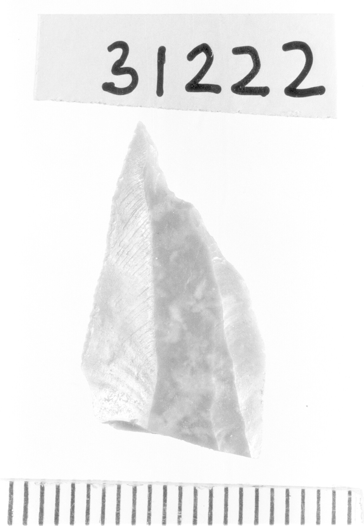 becco troncatura/ frammento - Gravettiano (Paleolitico superiore)
