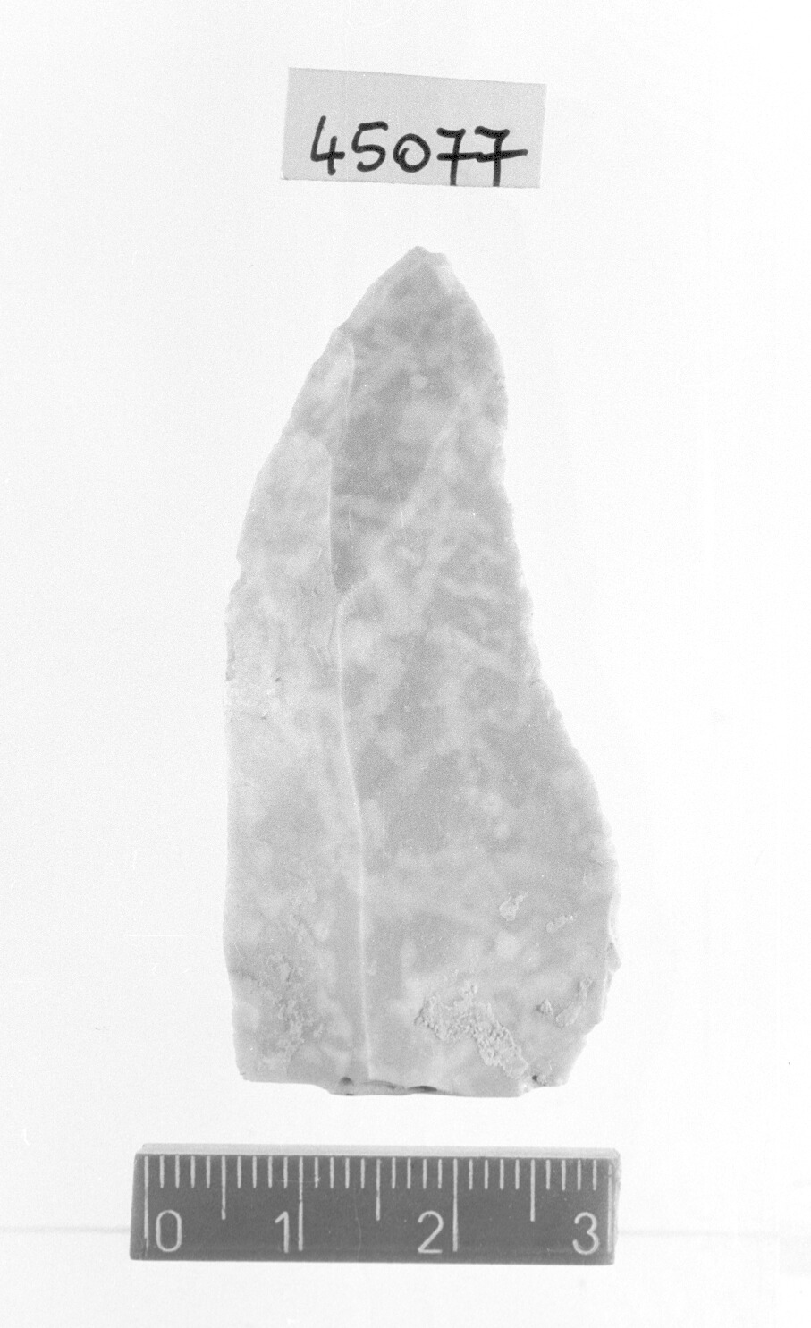 punta a dorso parziale/ frammento (Paleolitico superiore)