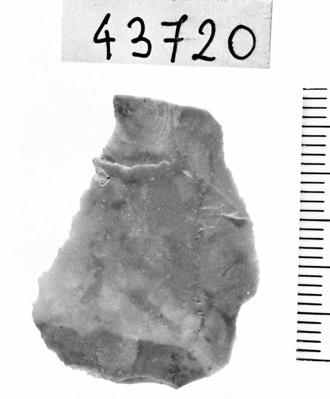 troncatura marginale rettilinea - Epigravettiano (Paleolitico superiore)