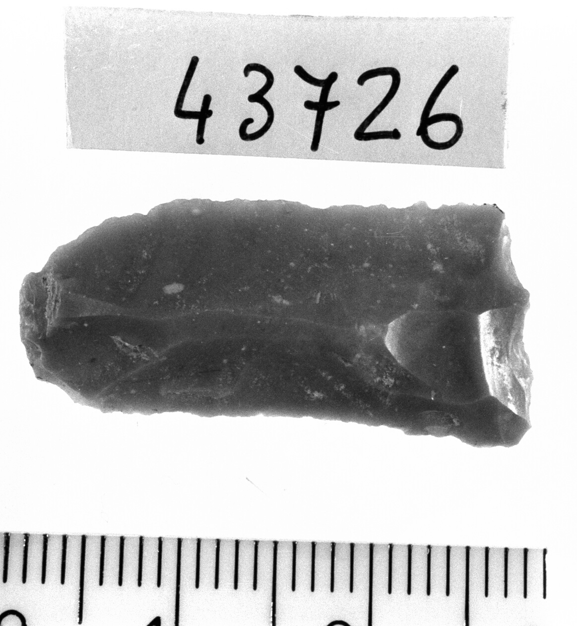 troncatura normale concava - Epigravettiano (Paleolitico superiore)