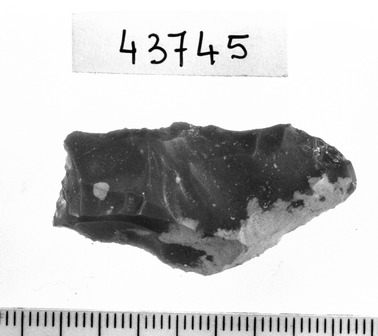 troncatura obliqua doppia - Epigravettiano (Paleolitico superiore)