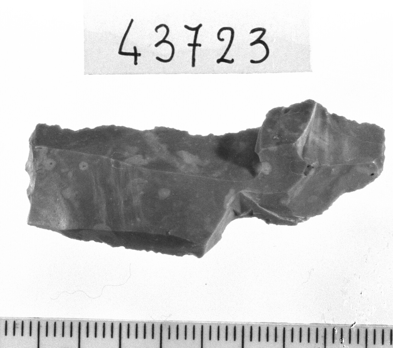 troncatura normale - Epigravettiano (Paleolitico superiore)