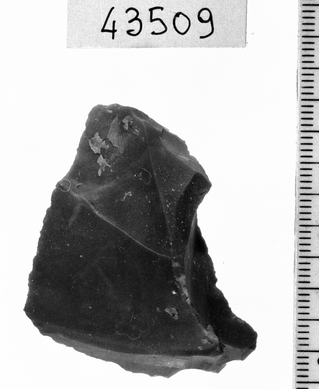 grattatoio denticolato - Epigravettiano (Paleolitico superiore)