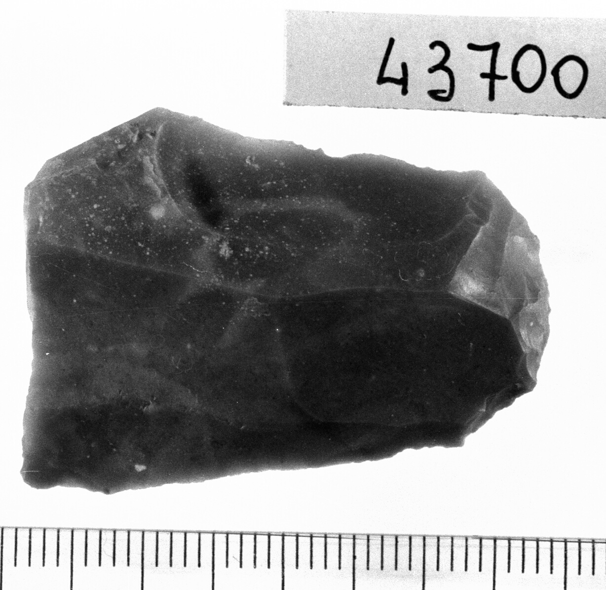 grattatoio frontale lungo/ frammento - Epigravettiano (Paleolitico superiore)