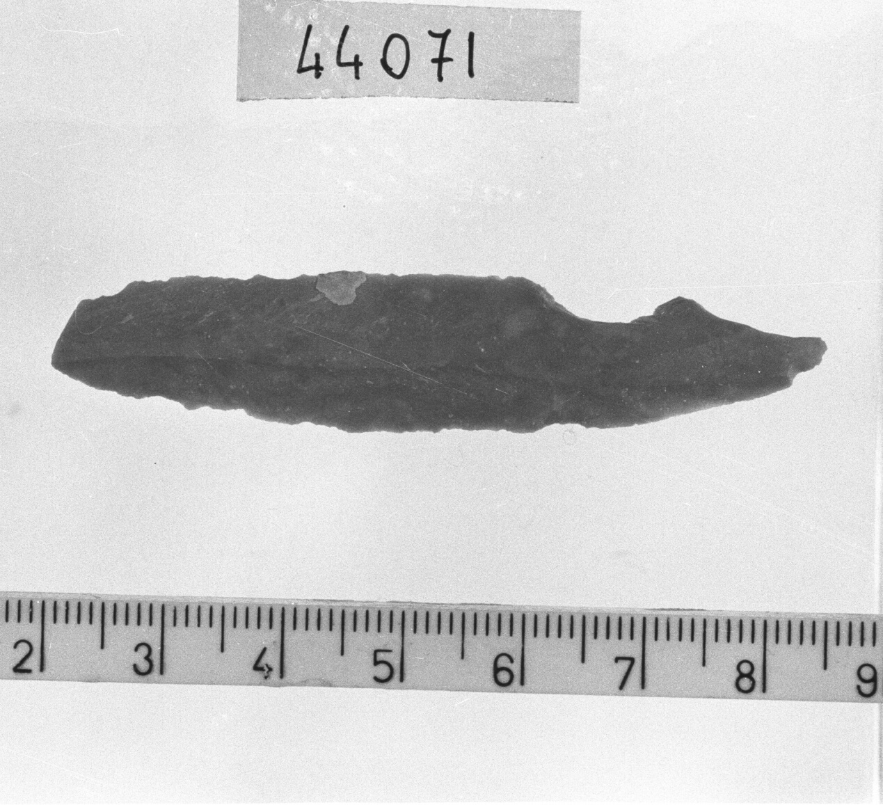 lama a cran - Epigravettiano (Paleolitico superiore)