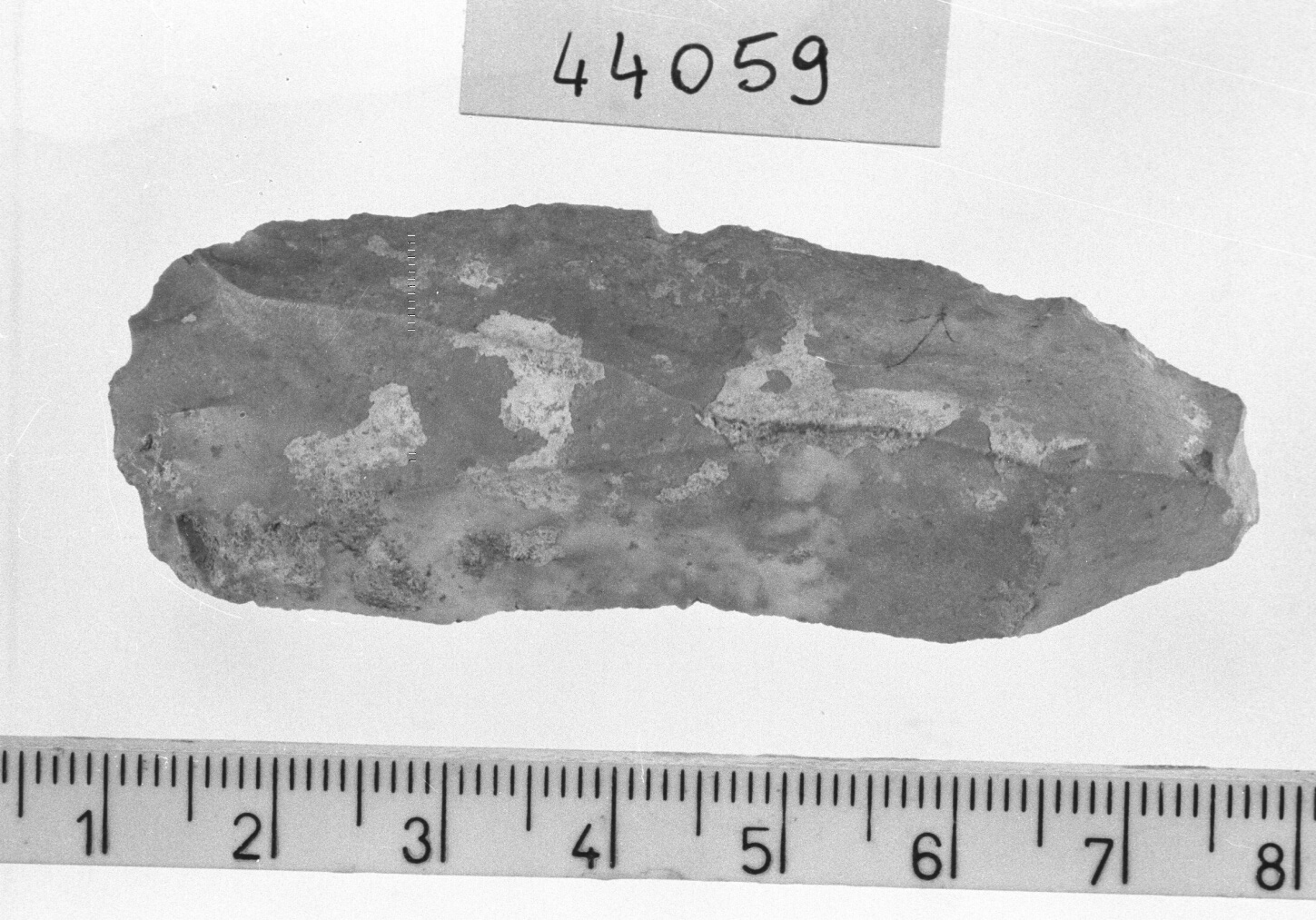 lama a dorso marginale - Epigravettiano (Paleolitico superiore)