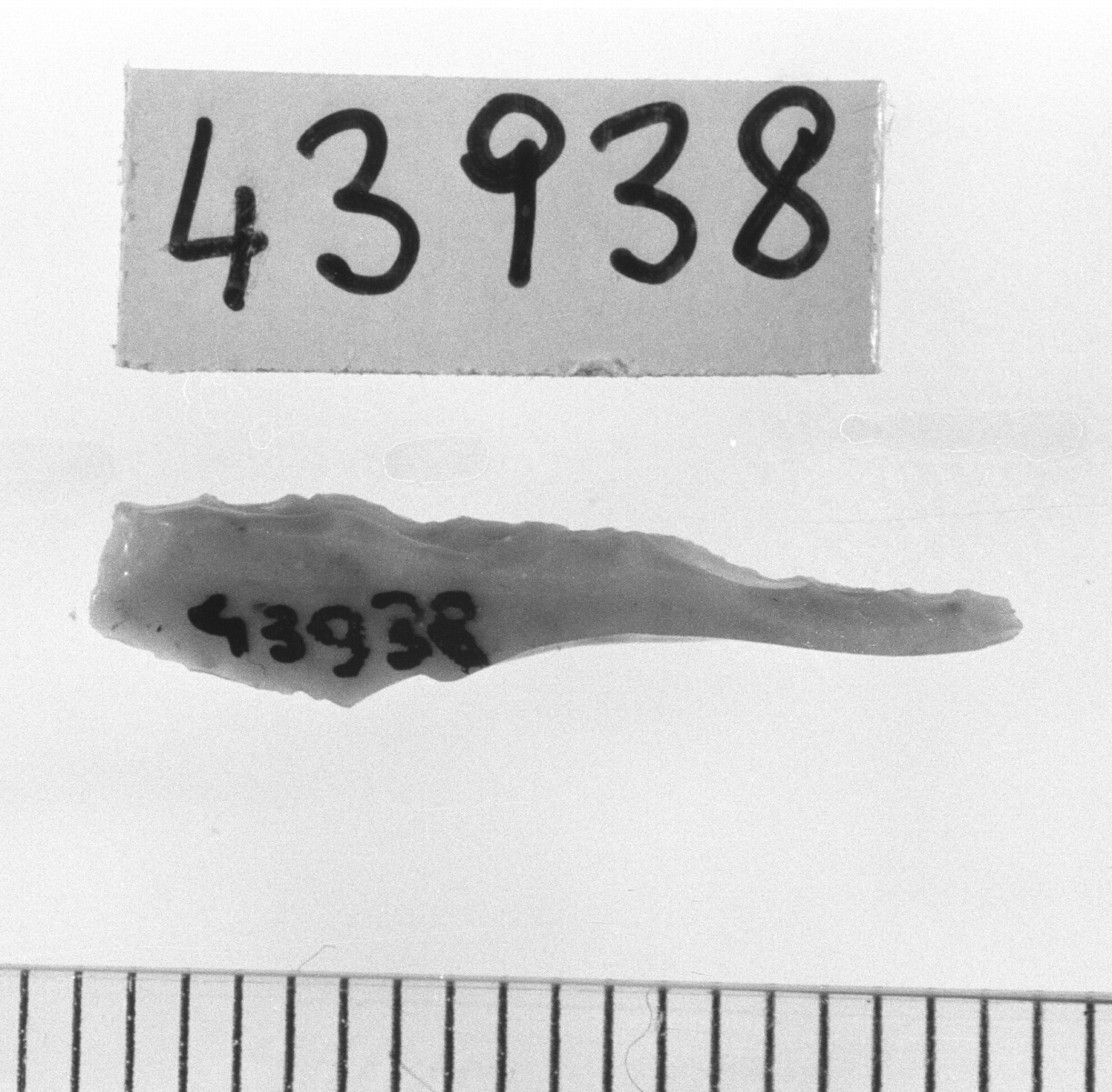 microbulino a dorso - Epigravettiano (Paleolitico superiore)