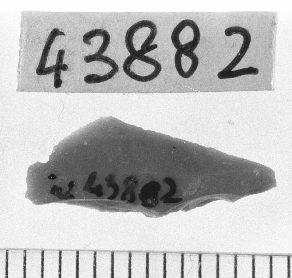 microbulino a dorso - Epigravettiano (Paleolitico superiore)