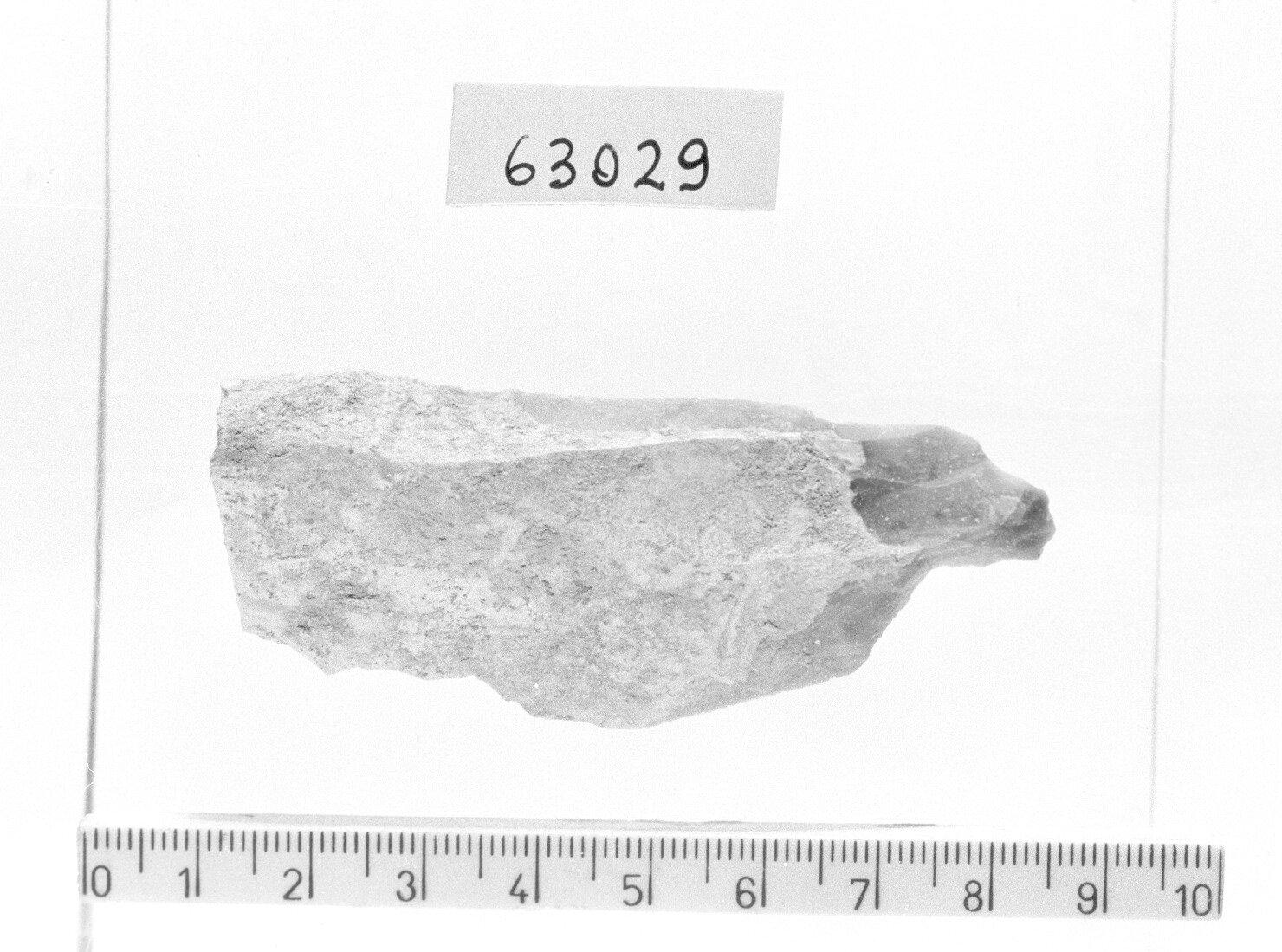 lama a cran con ritocco (Paleolitico superiore)