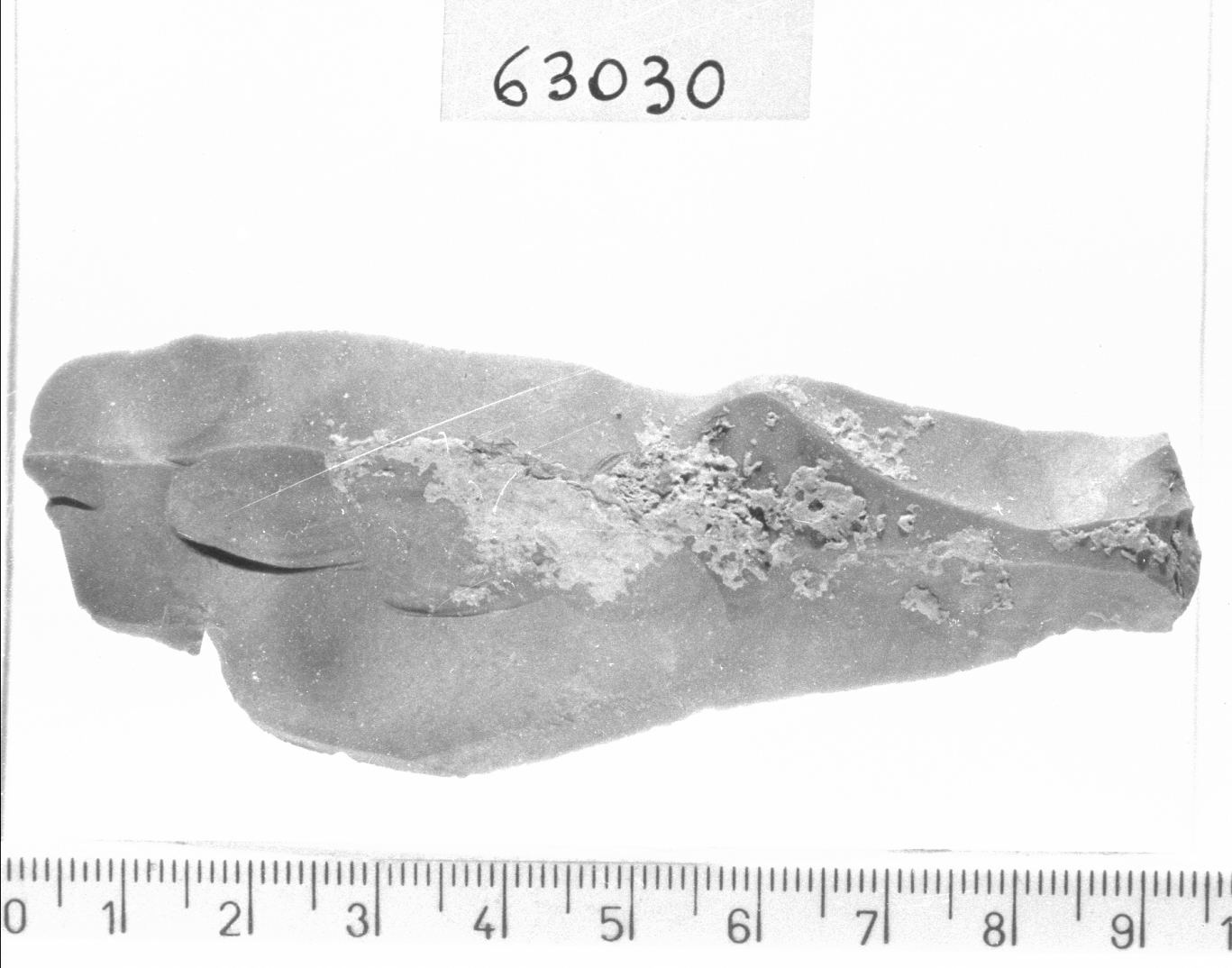 lama-raschiatoio marginale con troncatura (Paleolitico superiore)