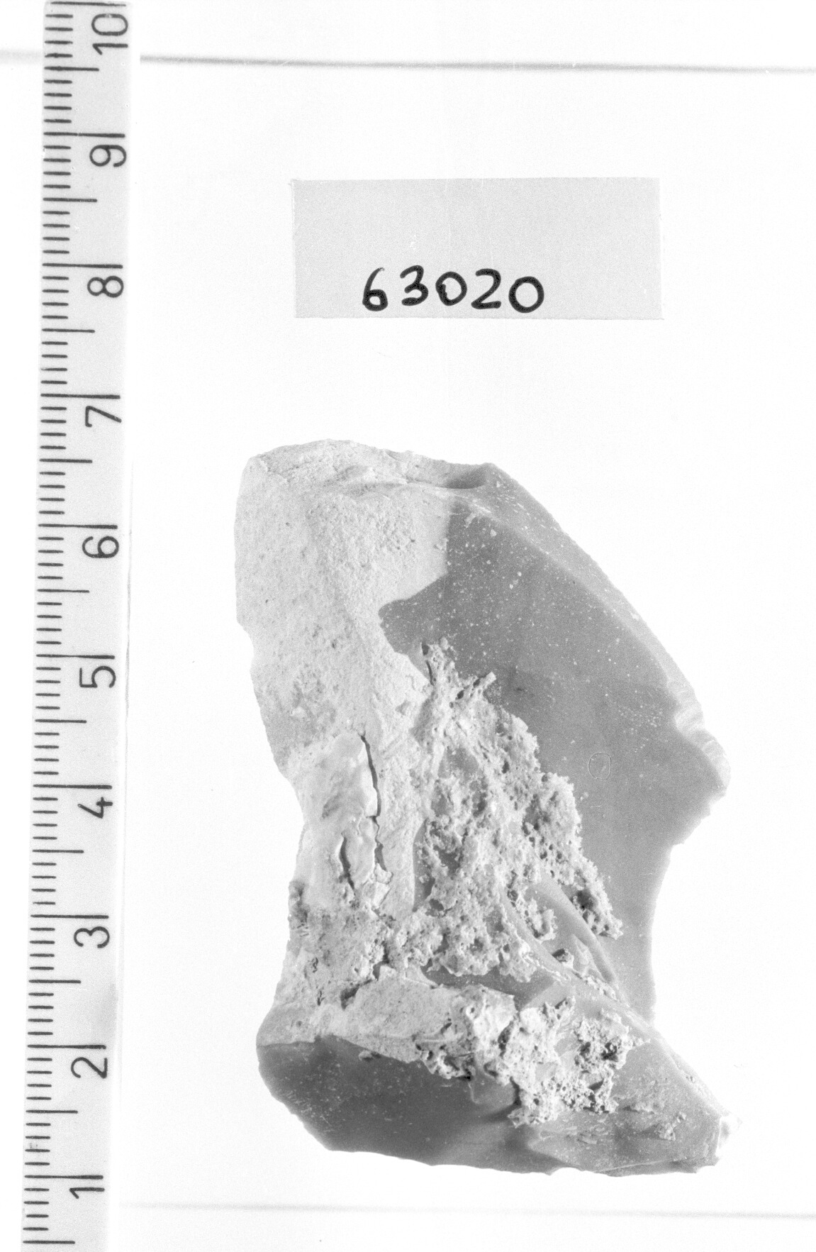 troncatura marginale obliqua T 1 - Gravettiano (Paleolitico superiore)