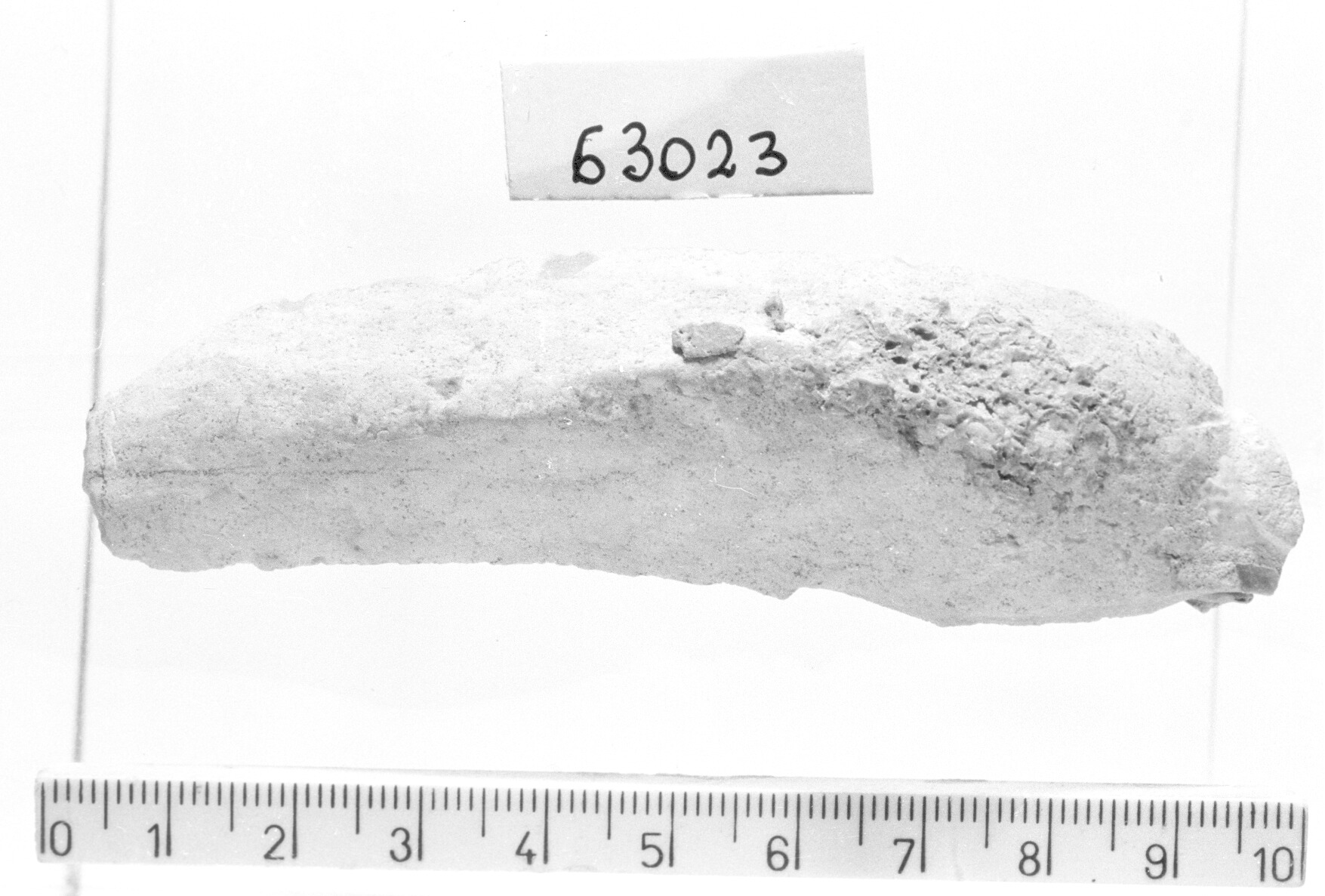 troncatura obliqua convessa T 3 - Gravettiano (Paleolitico superiore)