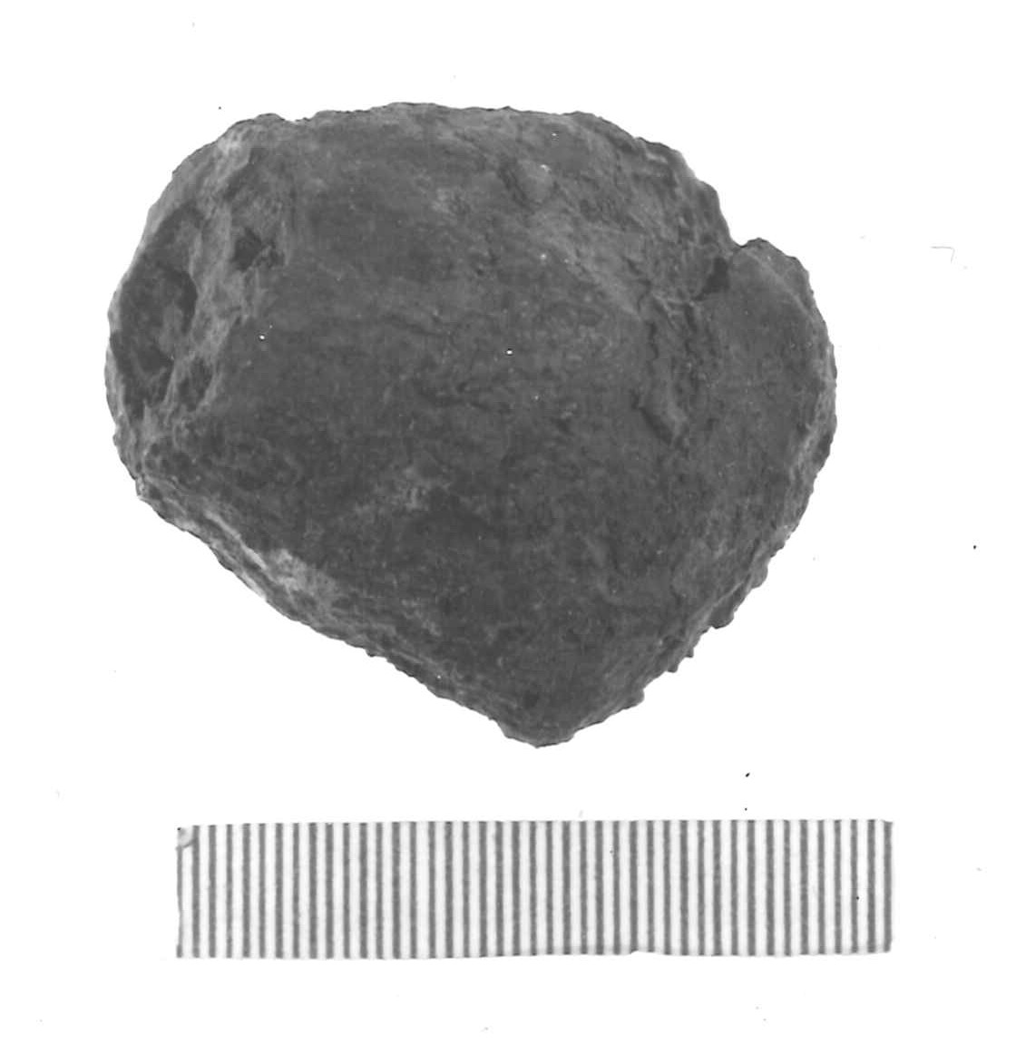 testa di mazza - Piceno IV A (sec. VI a.C)