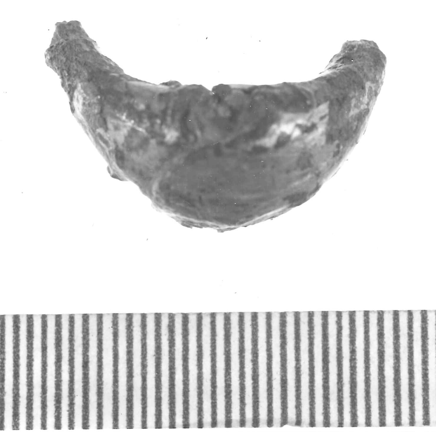 fibula a sanguisuga/ frammento - Piceno IV A (sec. VI a.C)