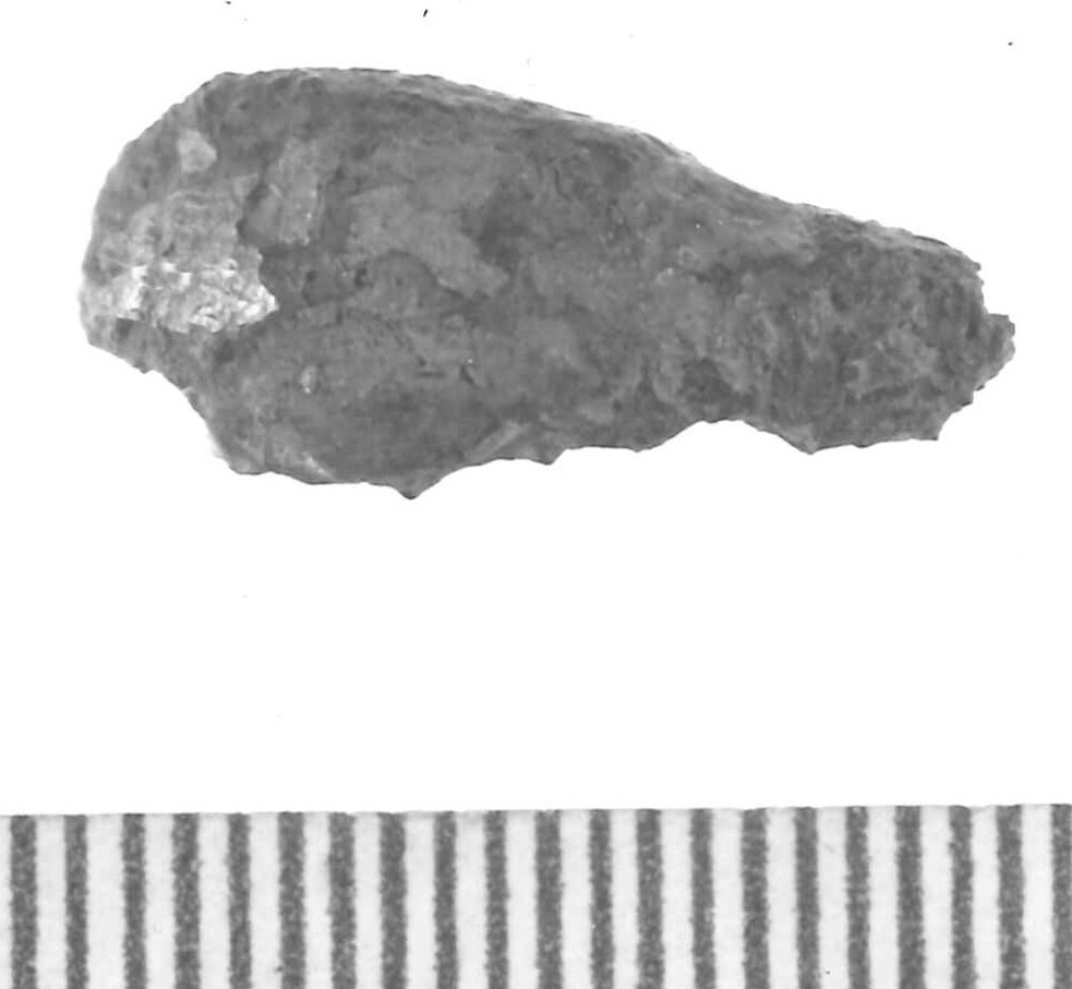 frammento non id - Piceno IV A (sec. VI a.C)