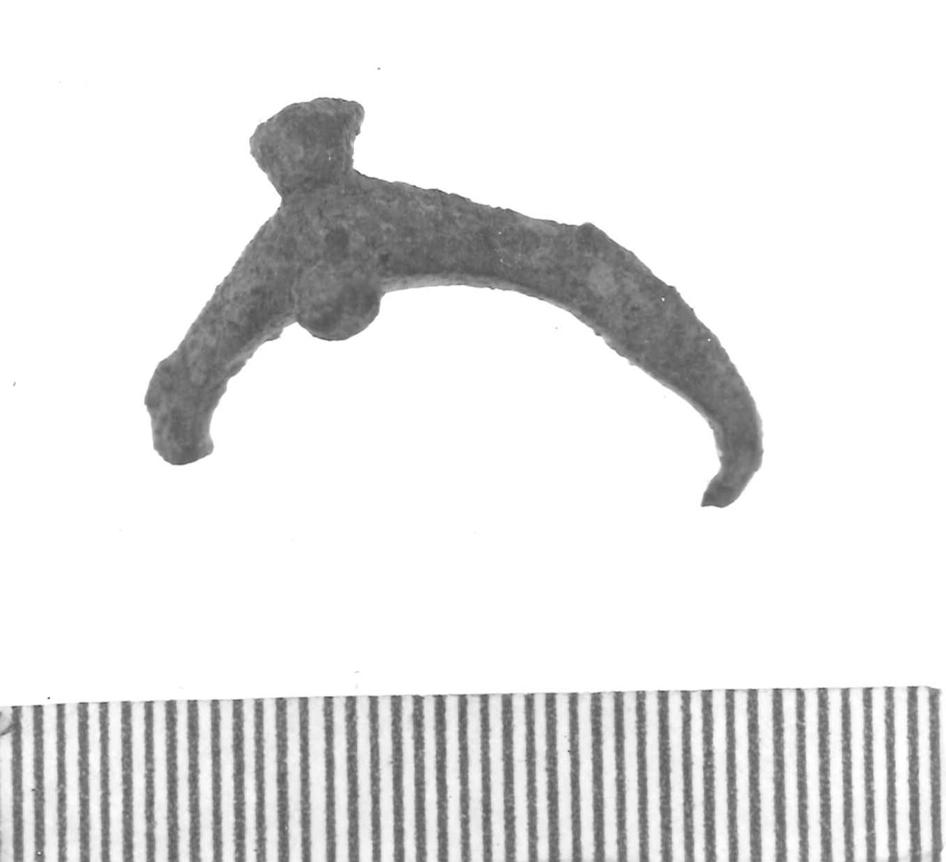 fibula a tre bottoni/ frammento - Piceno IV A (sec. VI a.C)