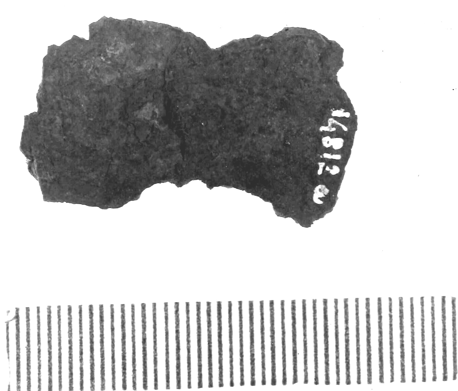 frammento non id - Piceno IV A (sec. VI a.C)