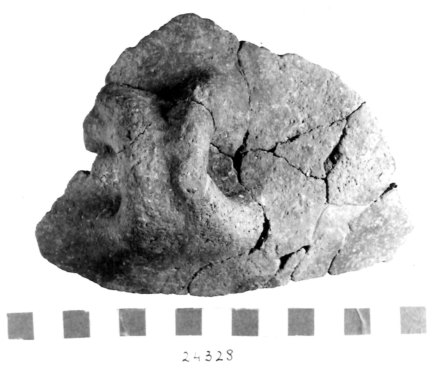 tazza carenata/ frammento (Subneolitico)