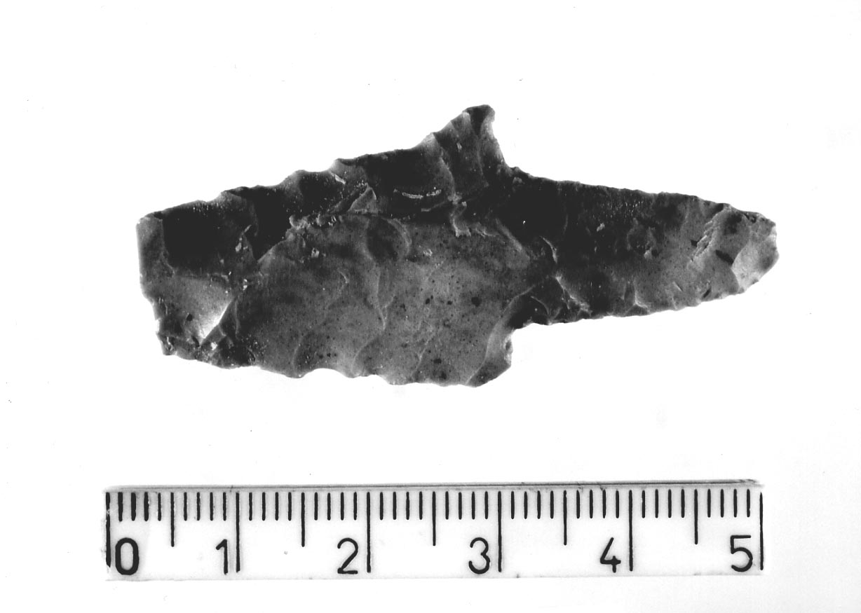 punta foliata peduncolata con margini denticolati (Neolitico finale)