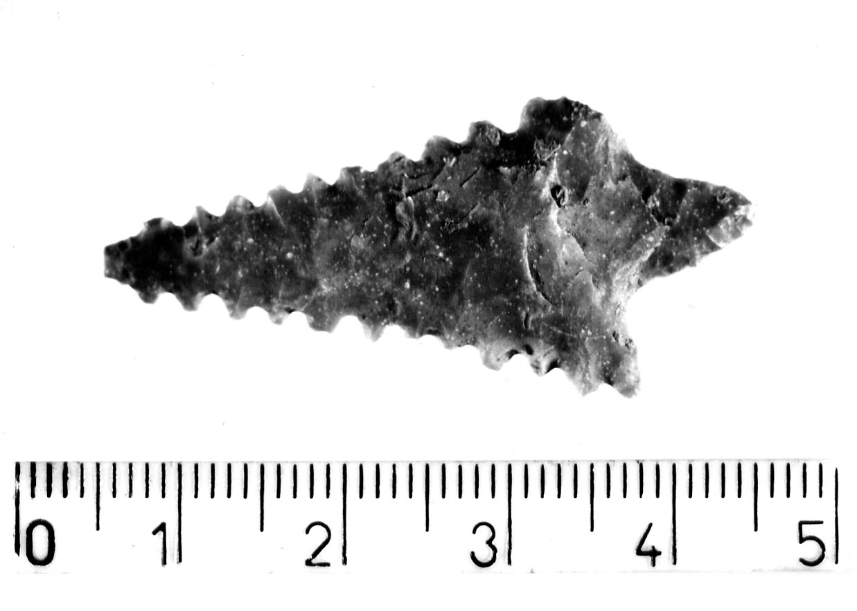 punta di freccia peduncolata a margini denticolati (Neolitico finale)