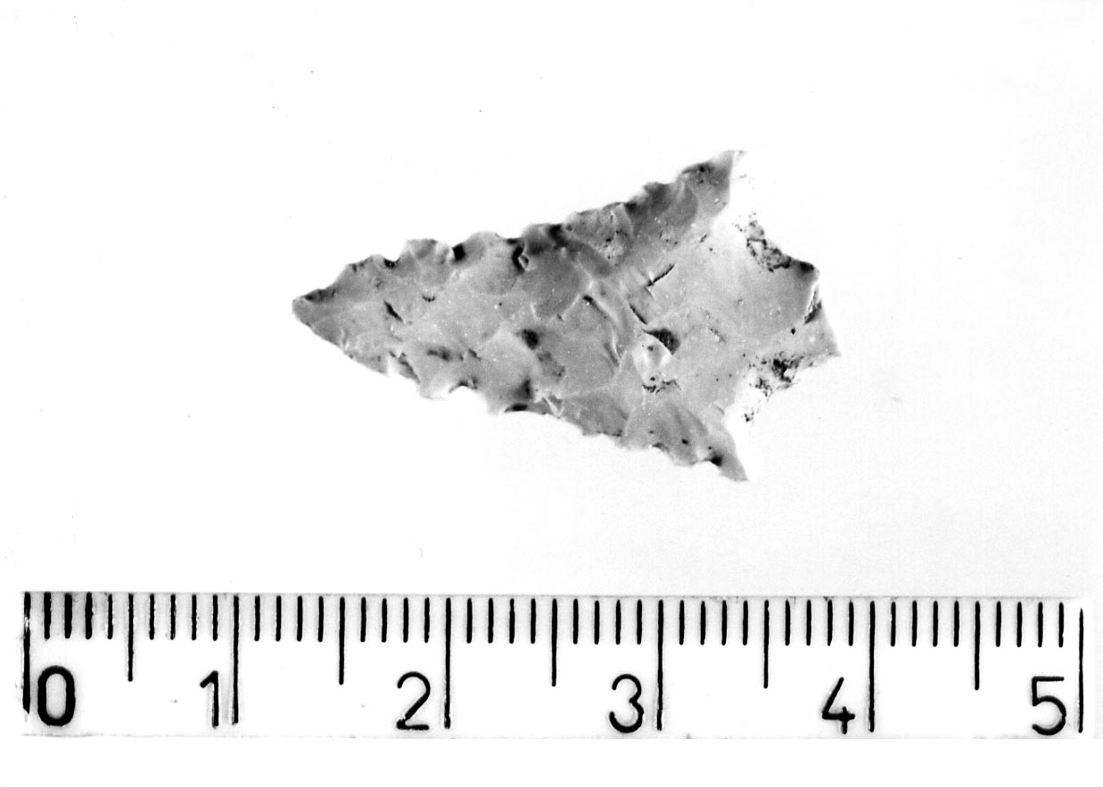 punta di freccia peduncolata a margini denticolati (Neolitico finale)