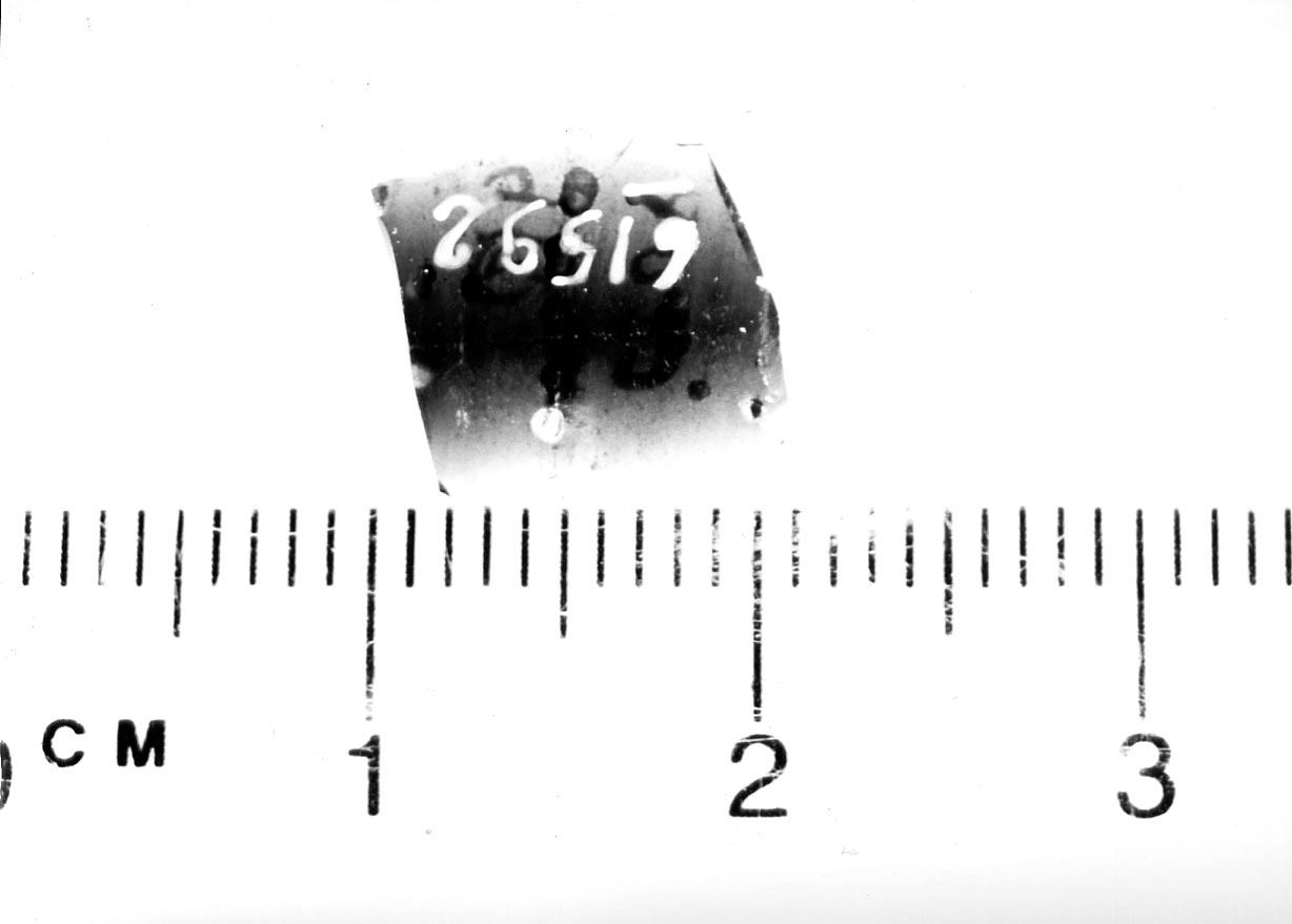 frammento non id (Neolitico finale)